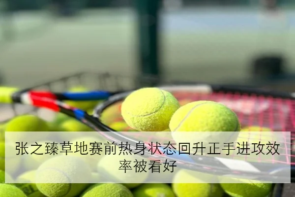张之臻草地赛前热身状态回升正手进攻效率被看好