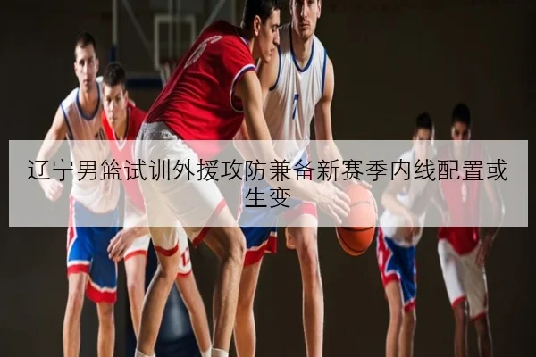 辽宁男篮试训外援攻防兼备新赛季内线配置或生变